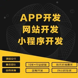 小程序開發(fā)與手機(jī)APP：打造高效移動應(yīng)用新策略，企業(yè)移動化轉(zhuǎn)型的雙翼